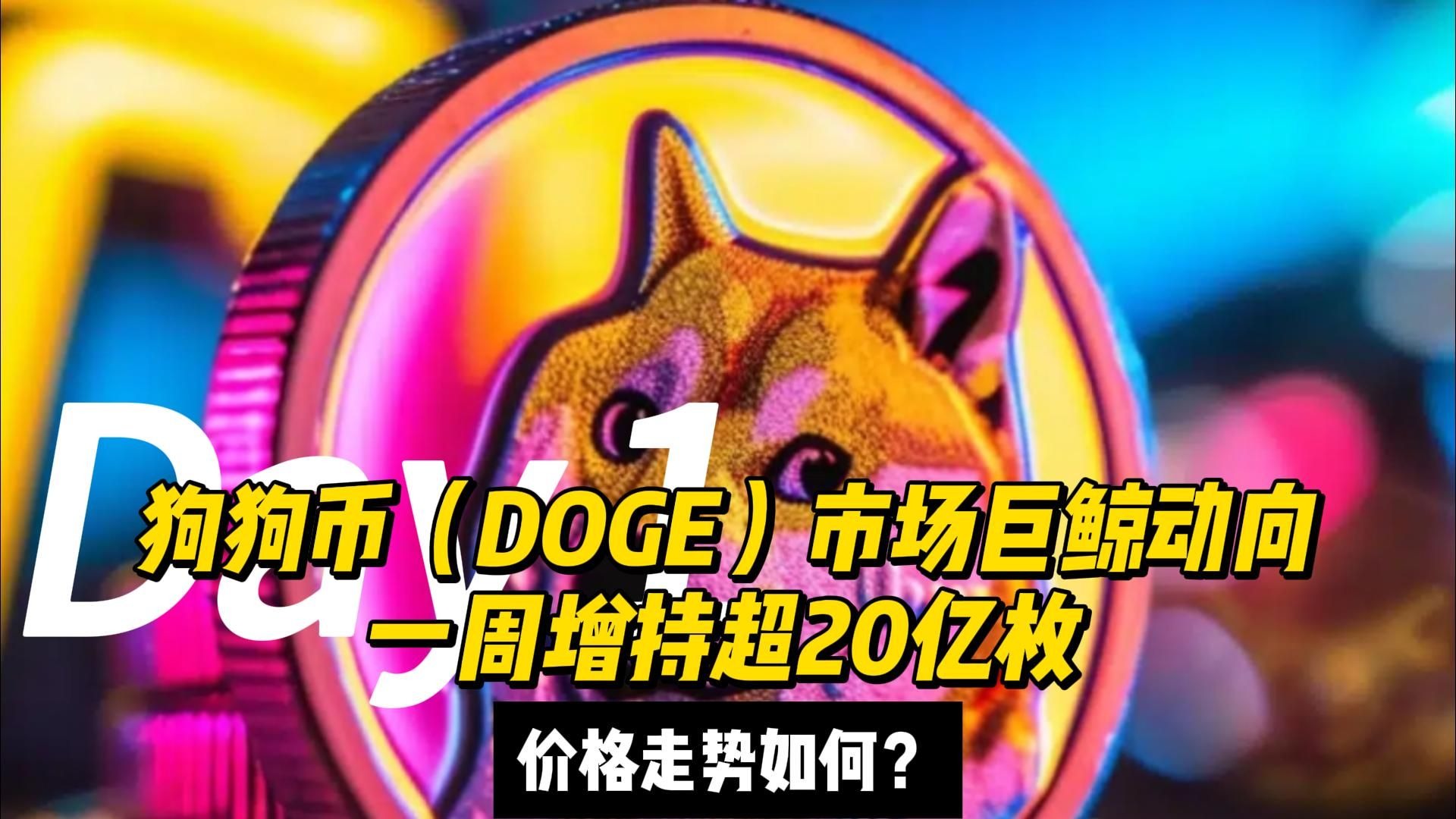 狗狗币官宣与SEC携手，开启元宇宙新纪元！的简单介绍-9体育