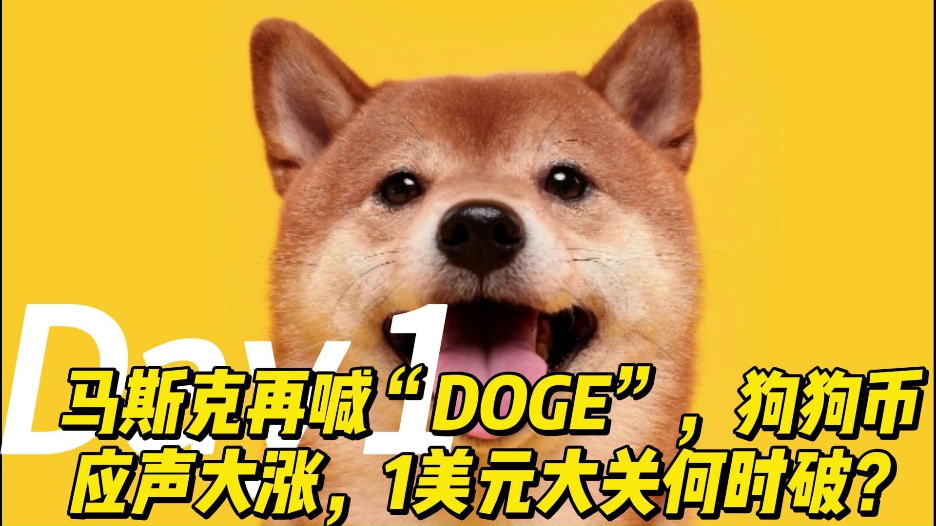狗狗币上扬势惊人，一夜飙升195%，加密市场沸腾