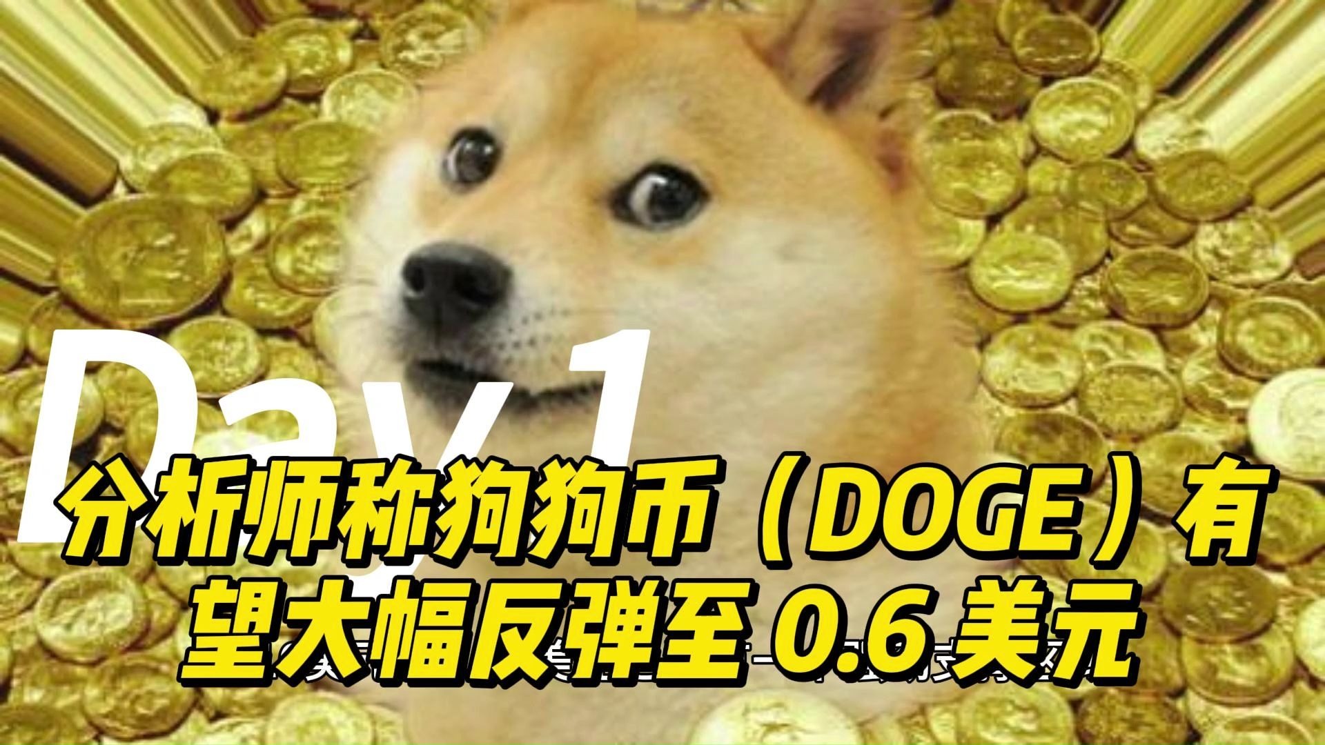 狗狗币遭遇大幅下滑超30.55%，投资者恐慌性抛售-九游体育官网