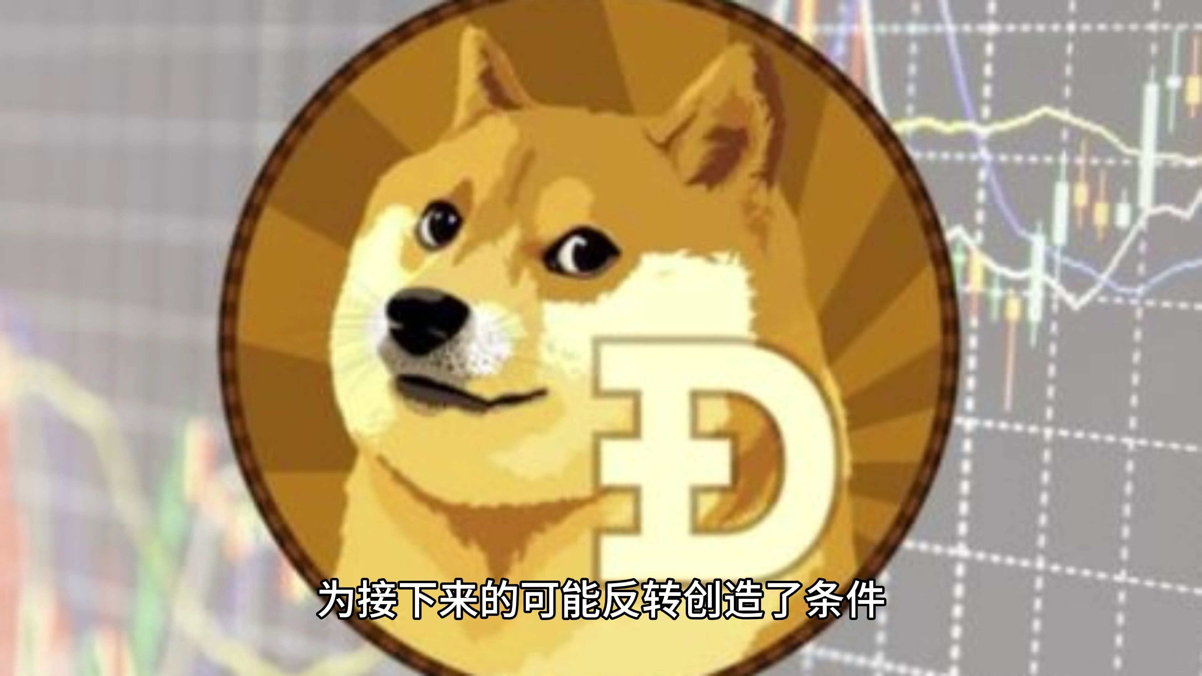 狗狗币遭遇大幅下滑超30.55%，投资者恐慌性抛售